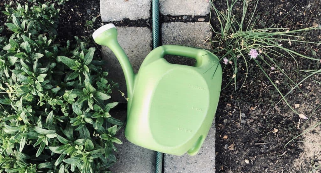 The Things You Need For A Next Level Garden