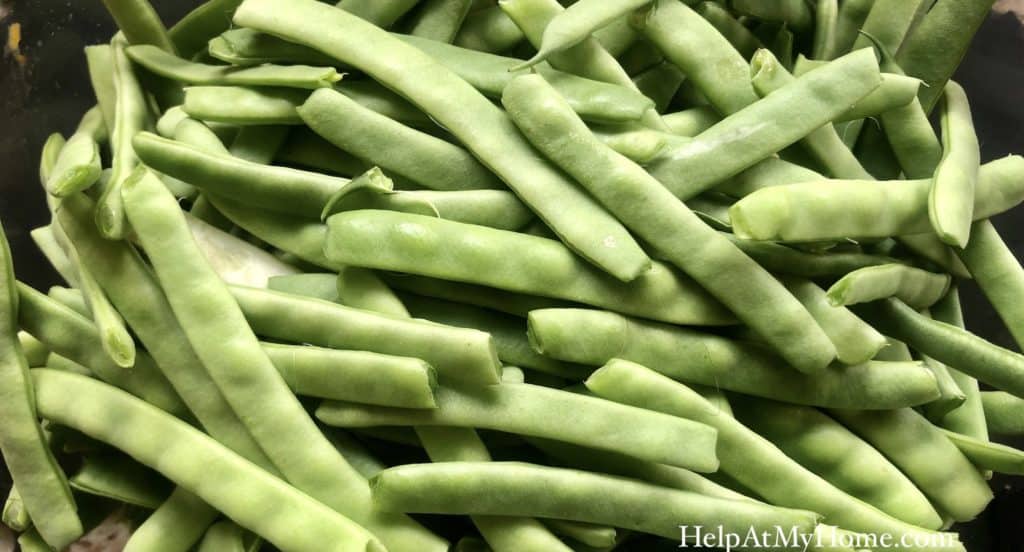 How To Grow Greasy Grit Beans