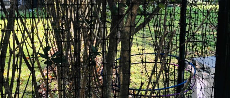 Deer Fence