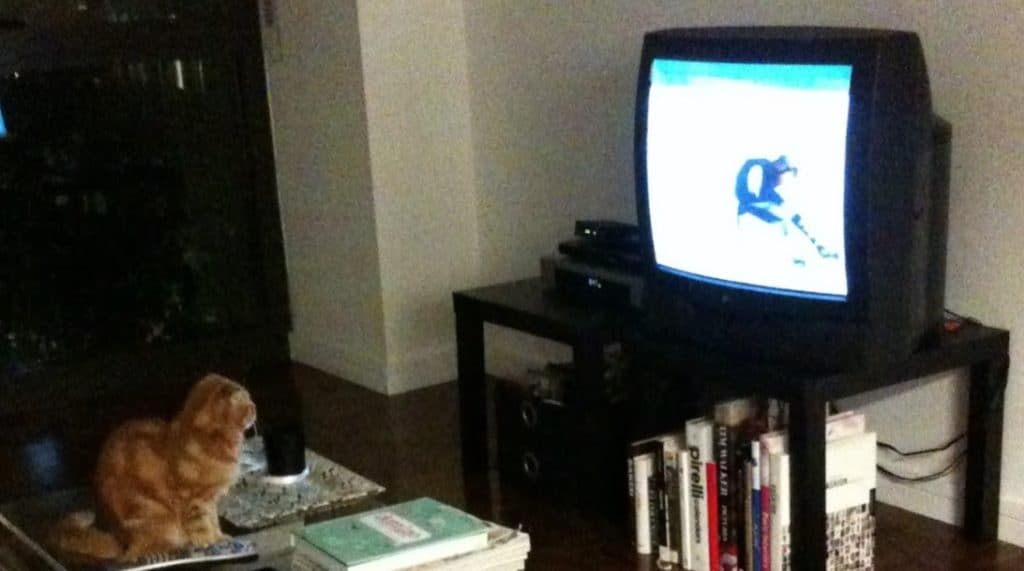 What’s The Best Non-Smart TV Sold Today?