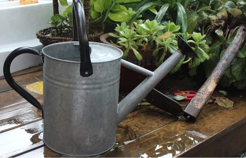 The Best Metal Watering Can For Home Gardens
