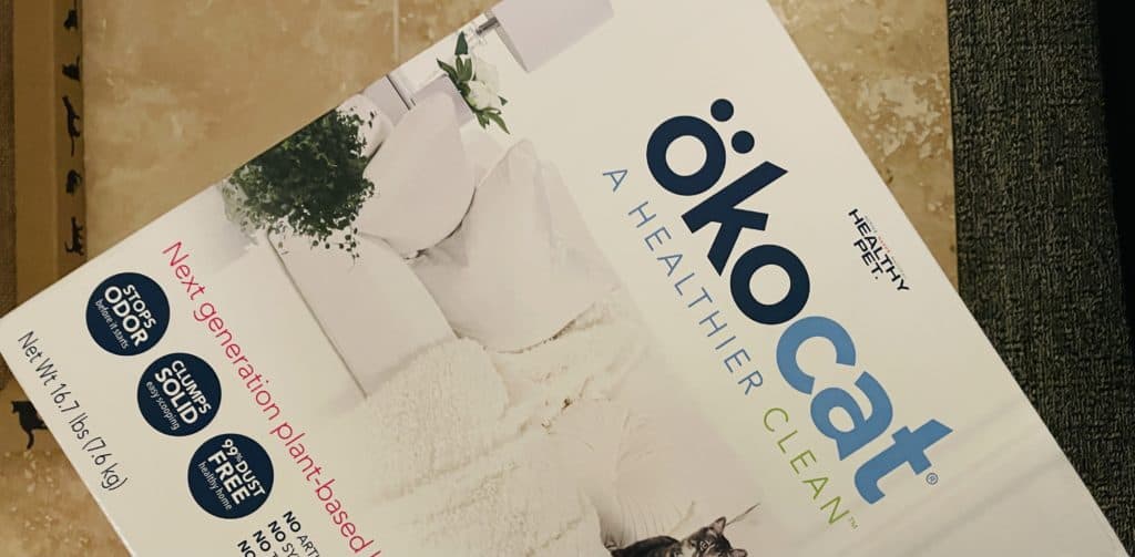 The Best Cat Litter For Single Cat Households