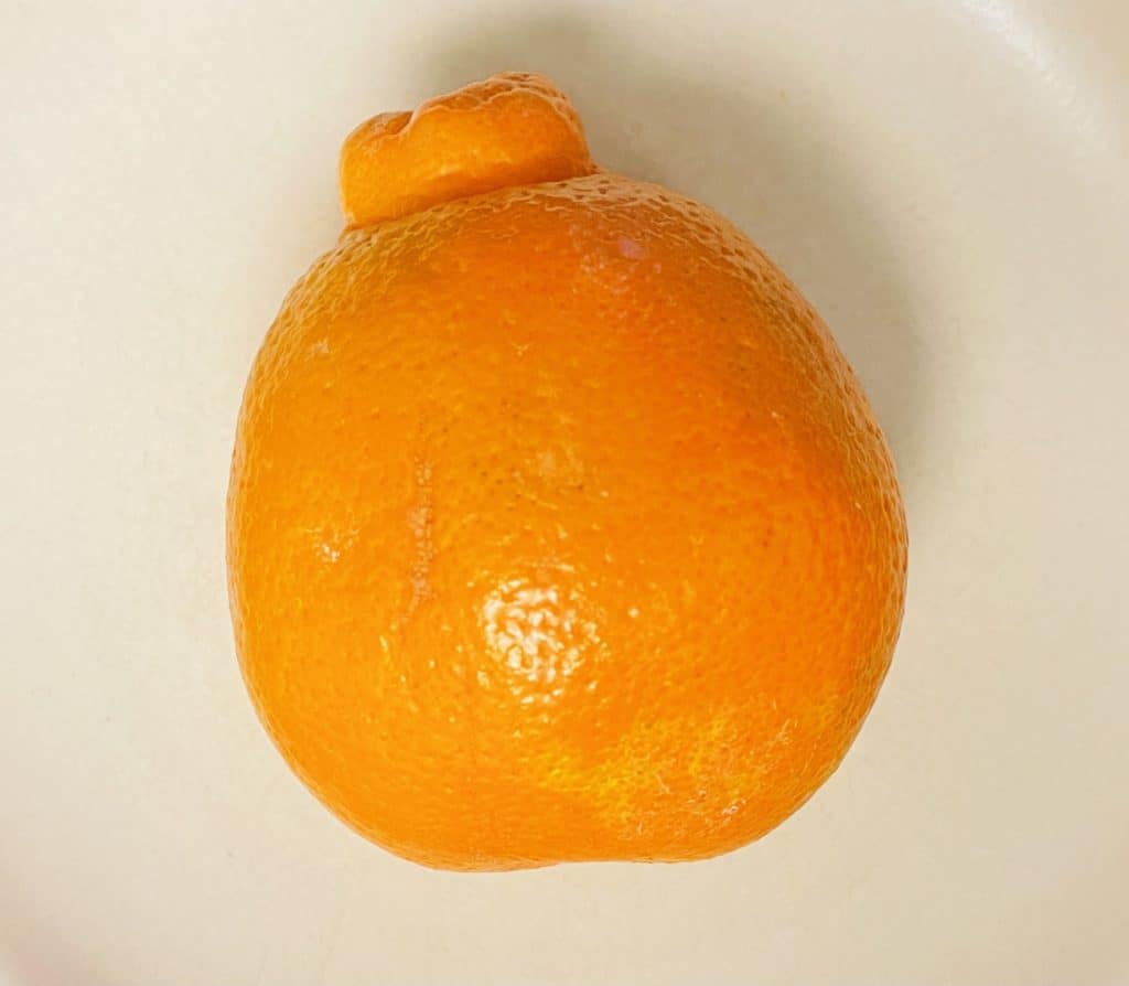 Where To Buy Great Citrus Online – Oranges, Grapefruit, and More