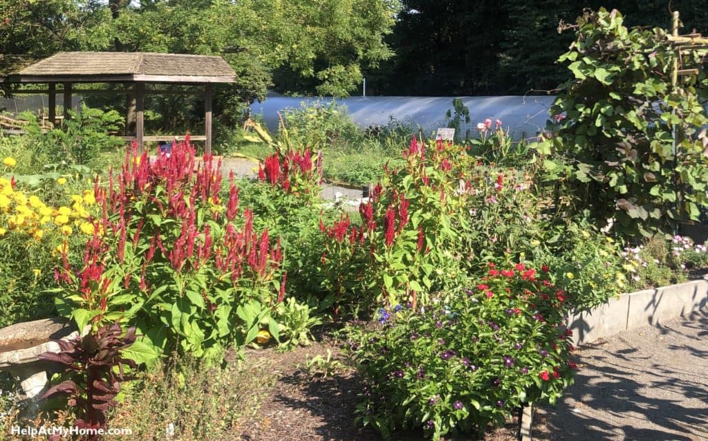 How To Water A Garden
